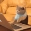 TCAT
