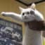TOPCAT