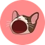 POPCAT