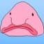 BLOB