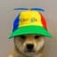 DOOGLE