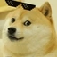 DOGEINU