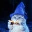 WIZARDCAT