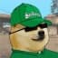 GDOGE