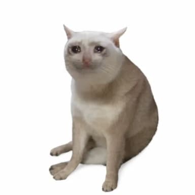 CASHCAT2