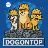 DOGONTOP