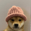 dogwifhat