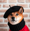 SHIBE